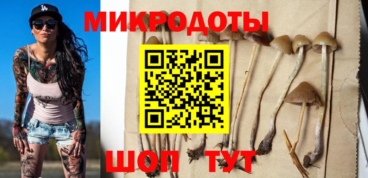 Псилоцибиновые грибы Magic Shrooms Бузулук