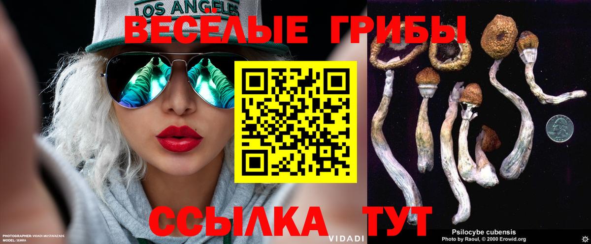 Бузулук  Галлюциногенные грибы Magic Shrooms  Вход с VPN 